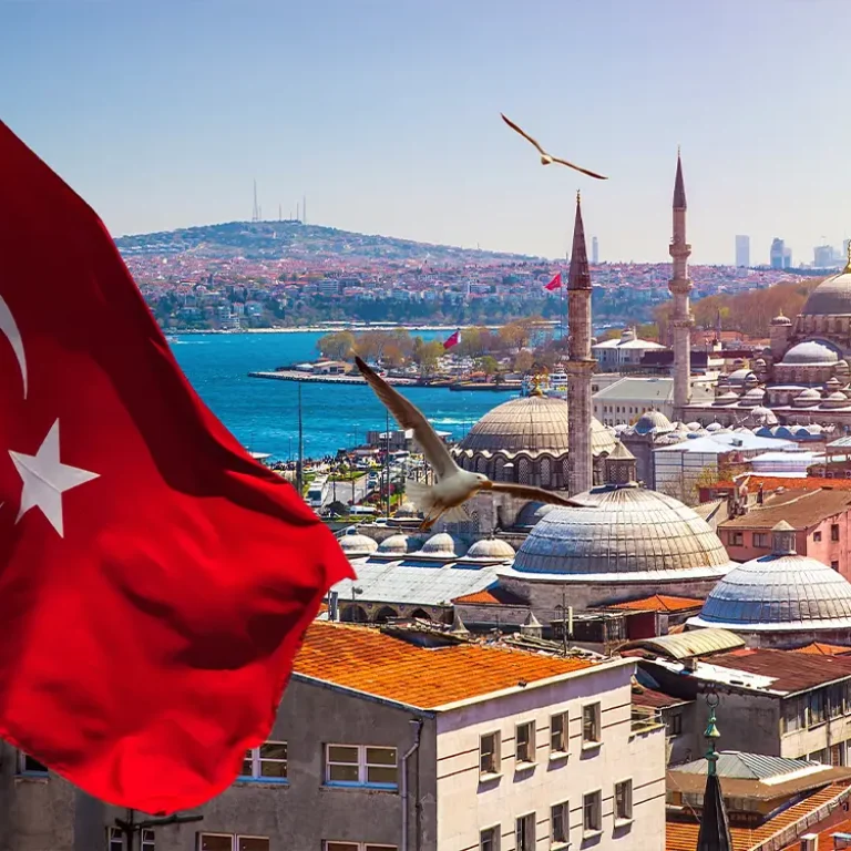 Gelişmiş sağlık hizmetleri, dünya standartlarında teknoloji ve rekabetçi fiyatlarla sunulan yüksek kaliteli hasta bakımı sayesinde Türkiye'nin neden medikal turizmde öncü bir destinasyon olduğunu gösteren görsel.